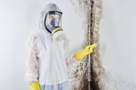 Best Air Quality Testing for Mold Spores  in Dyer, TN